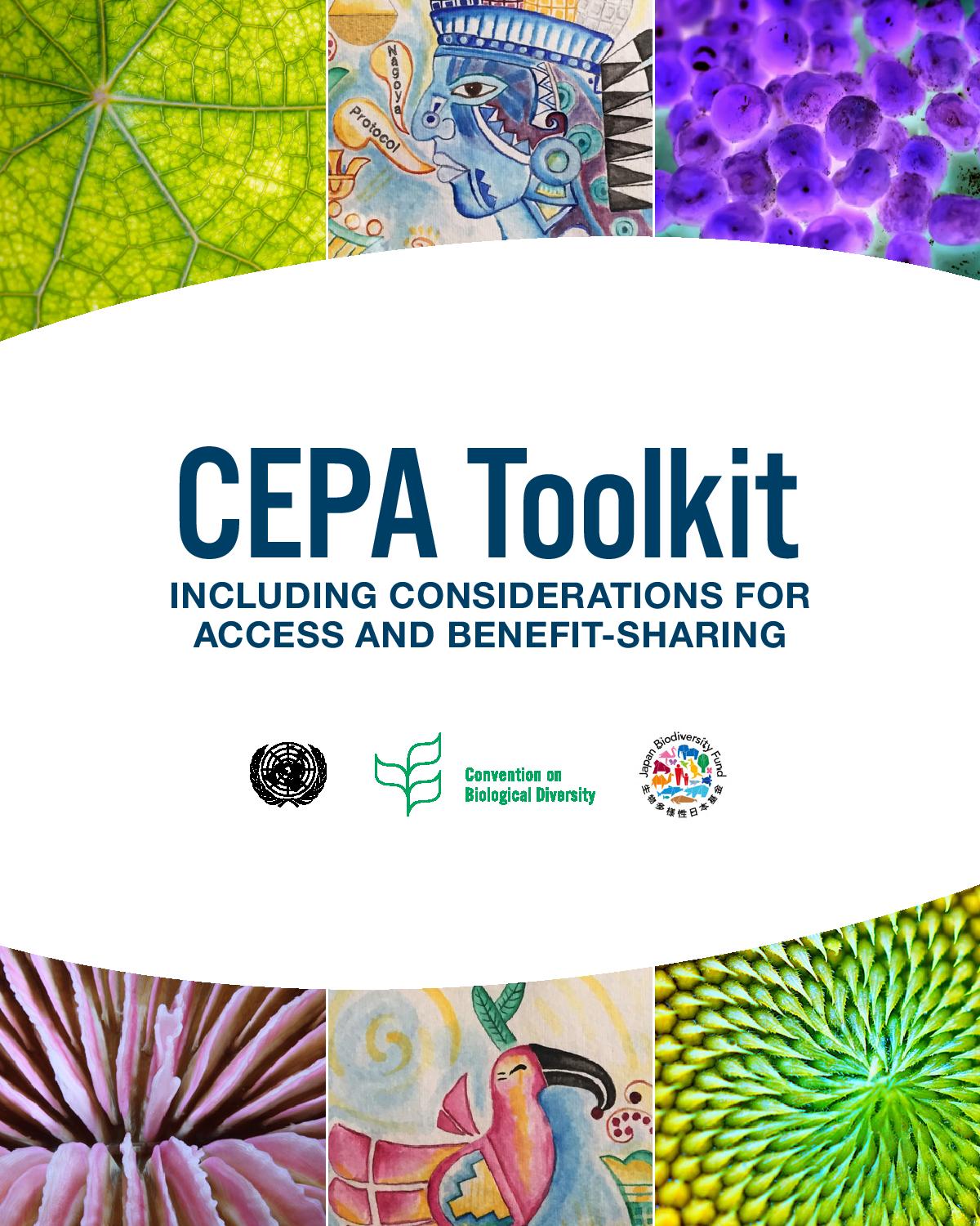 CEPA-toolkit-1.jpg