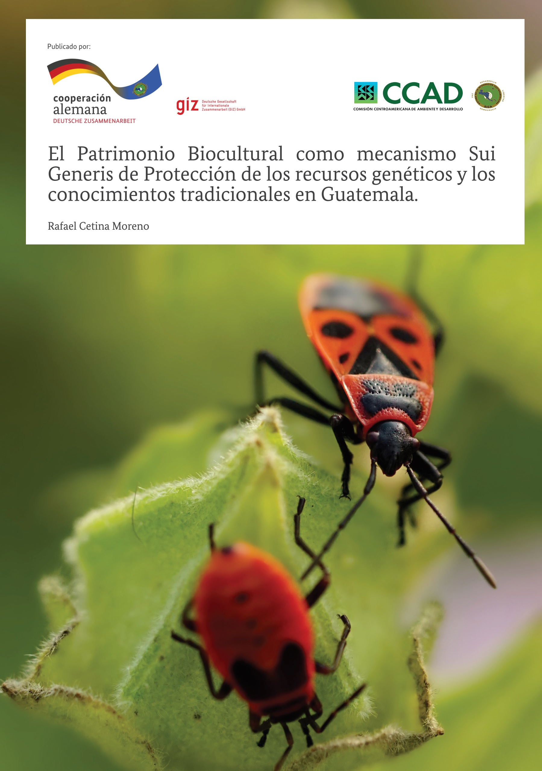 patrimonio.jpg