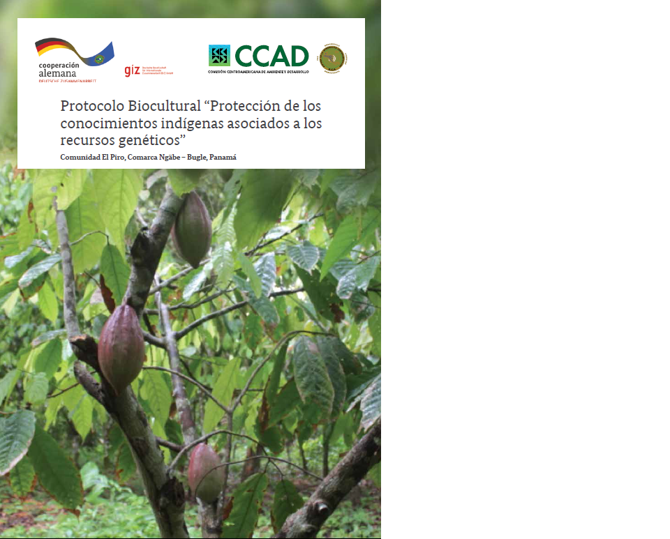 Protocolo Biocultural.png