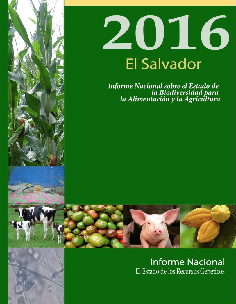 Portada_InformeSV2016.jpg