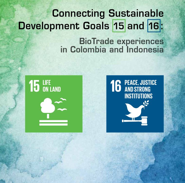 SDG1516.JPG