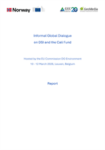 Report DSI Dialogue Leuven_260427_Title.png